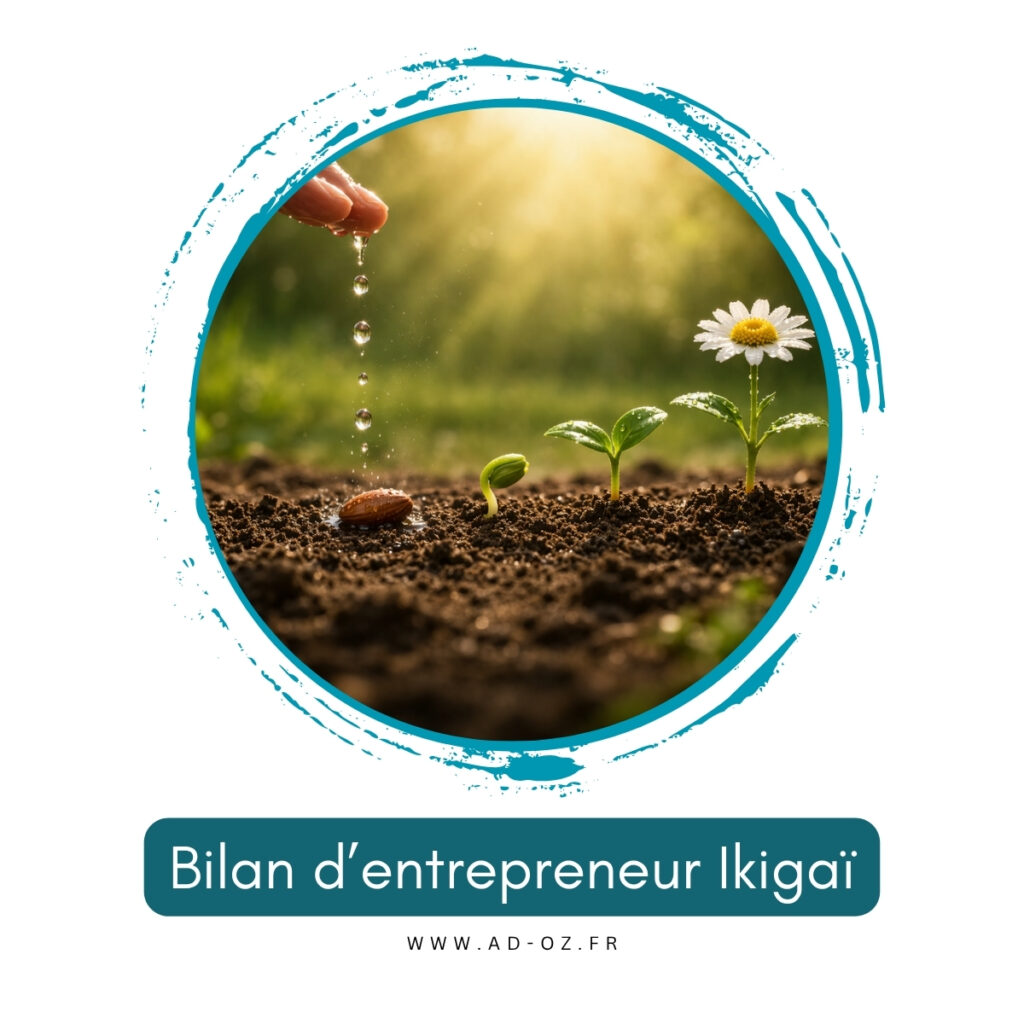 Coaching coach business ikigai bilan compétences toulouse nord - fenouillet - saint jory - castelnau d'estretefonds - fronton - bruguieres solopreneur seolopreneuse independante villemur creer micro entreprise